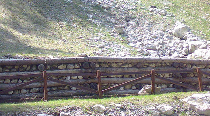 fusine