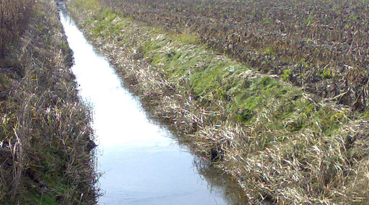 Latisana